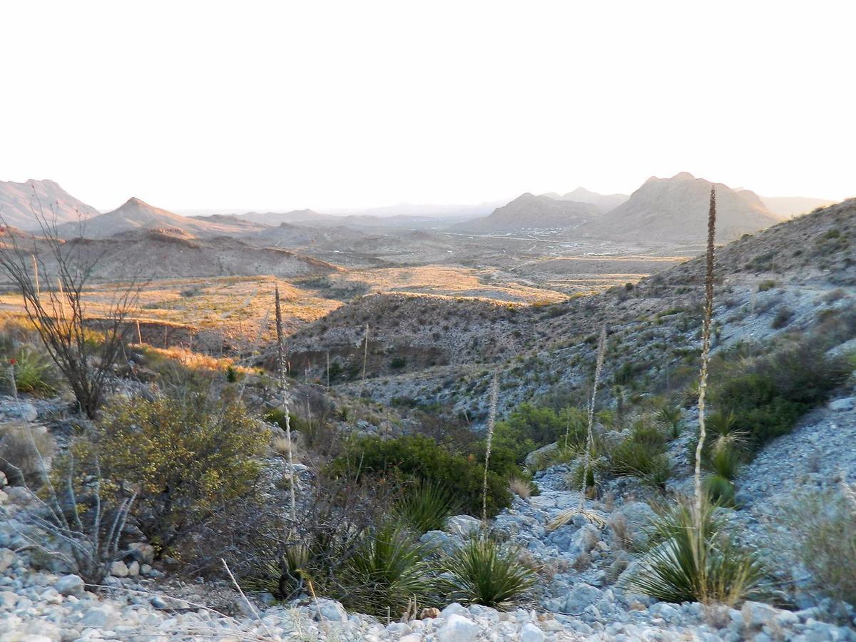 Terlingua Ranch Lodge Екстериор снимка