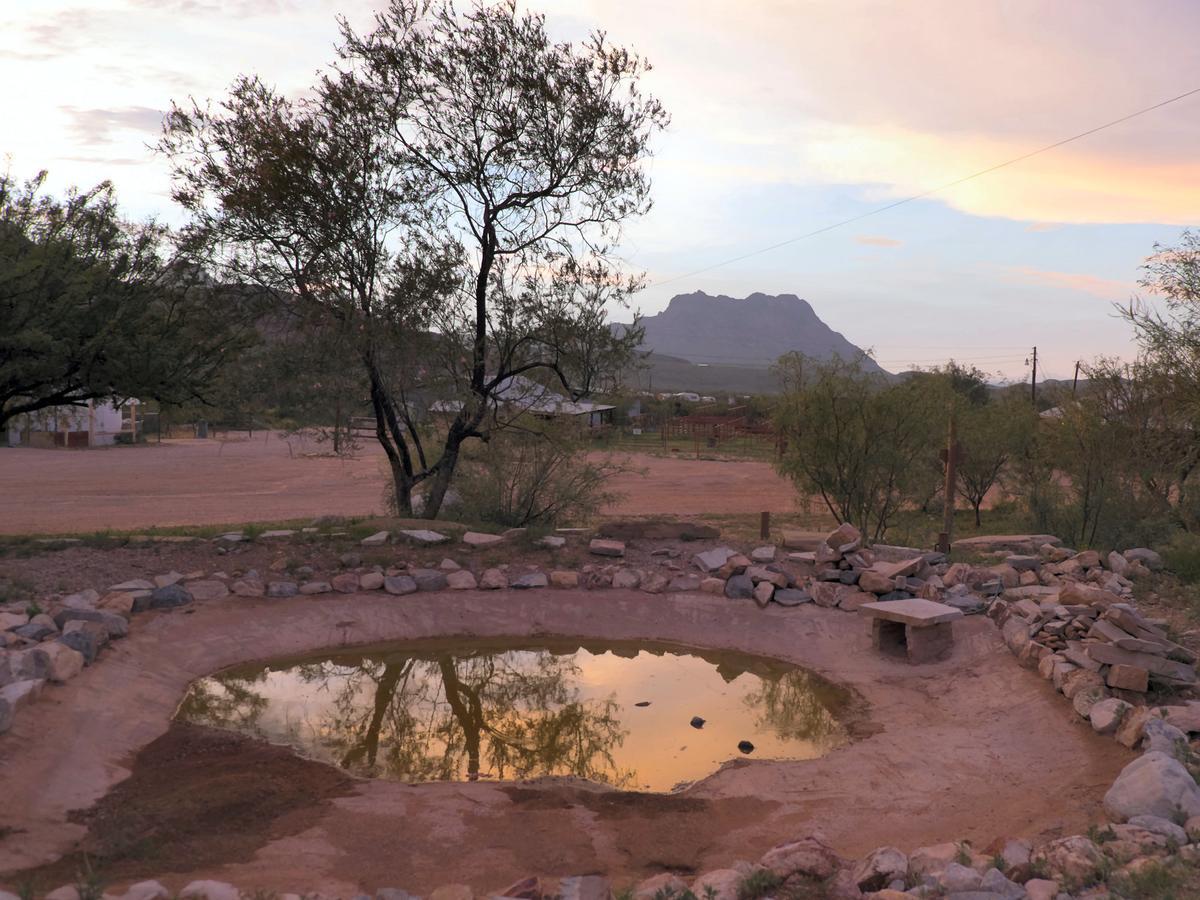 Terlingua Ranch Lodge Екстериор снимка